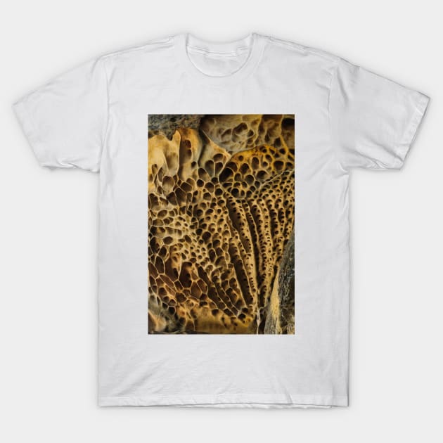 Ceiling T-Shirt by fotoWerner